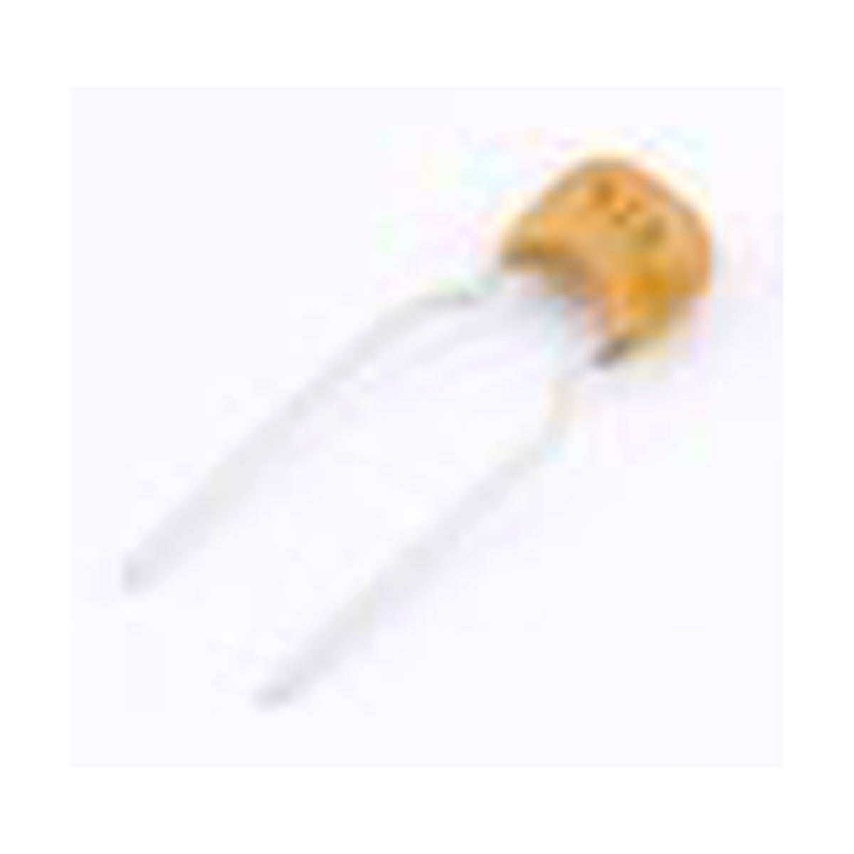 Ceramic Capacitor 470nF 100V