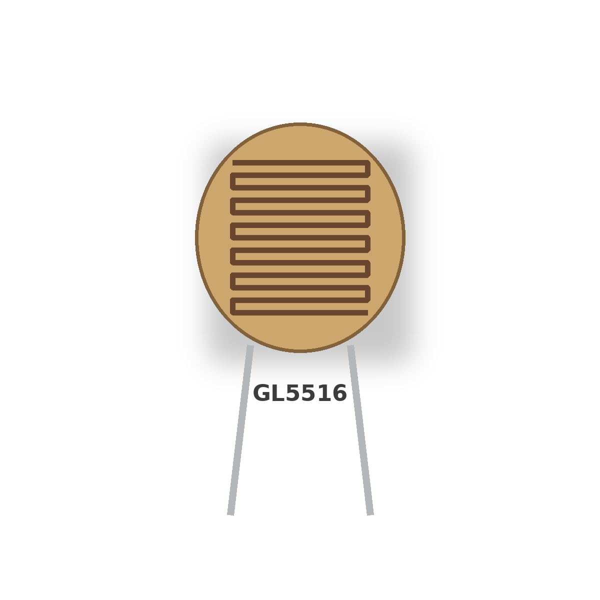 GL5516 Photoresistor Sensor LDR 5-10kΩ 5mm 2Pcs