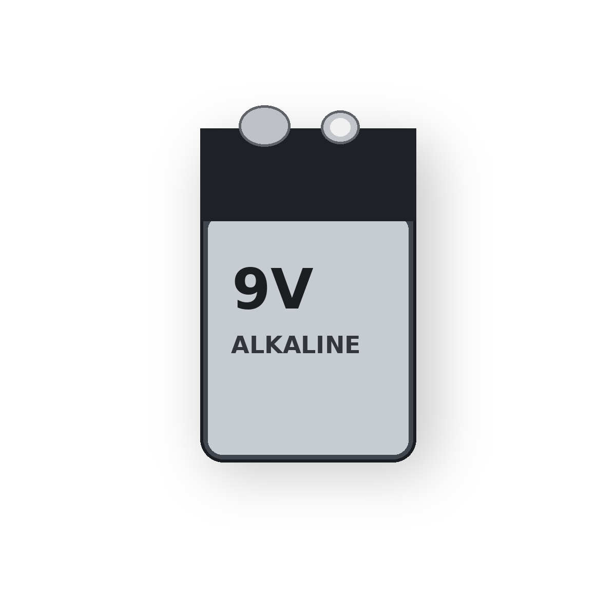 9V Alkaline Battery