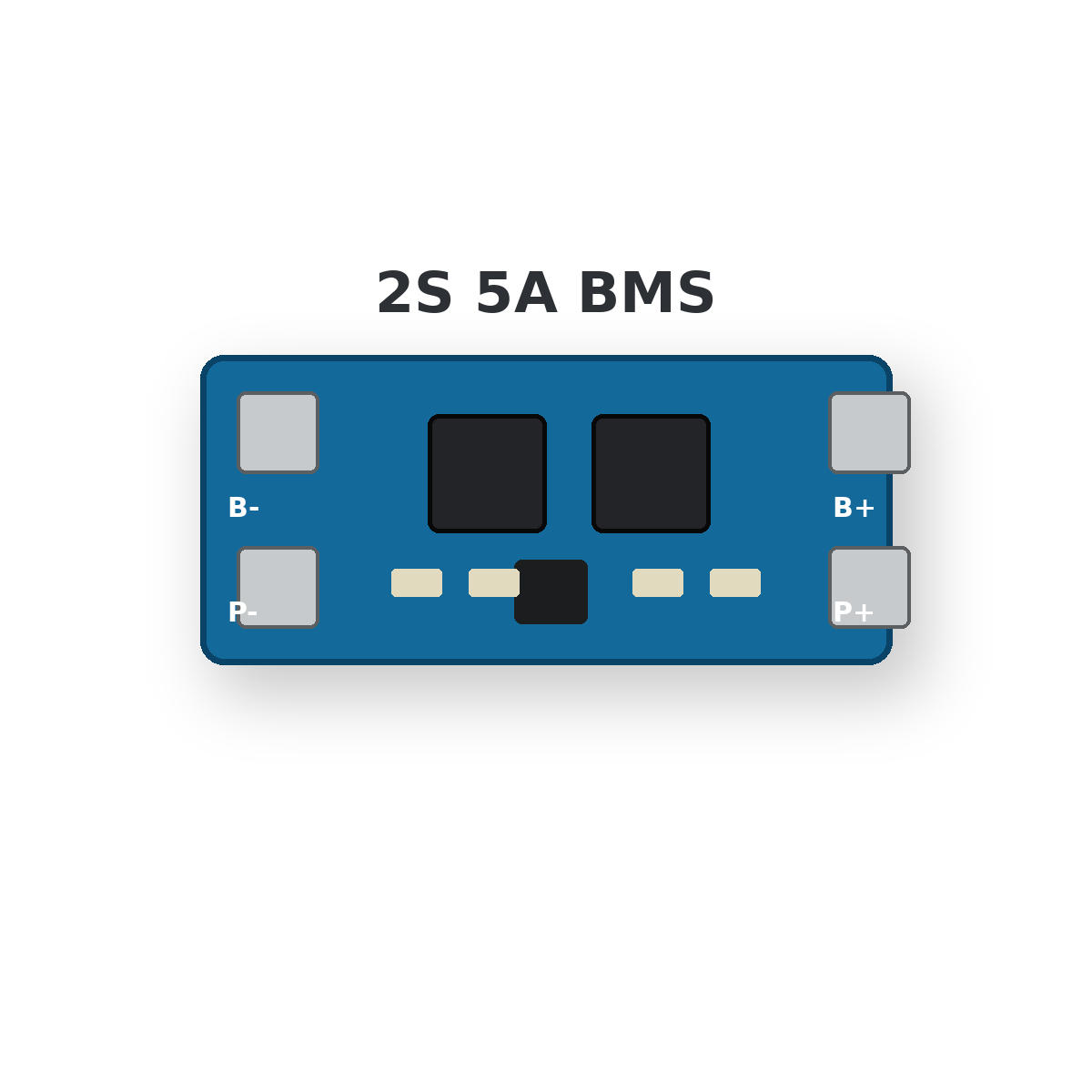 BMS 2S 5A