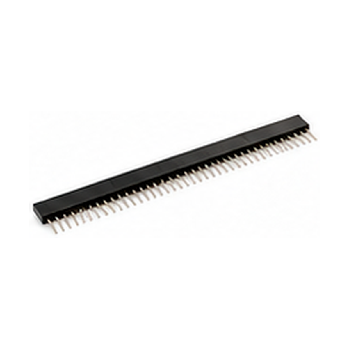 Pin Header 1x40